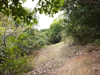 Chácara à venda, Nova Abrantes (Abrantes), Camaçari, BA - Foto 2