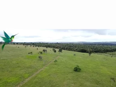 Otima Fazenda à Venda, Zona Rural , Barra do Choça, BA - Foto 3