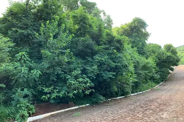 Terreno para venda - Foto 2