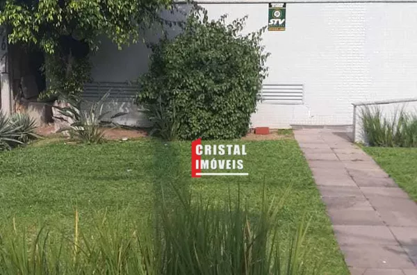 Circulacao externa