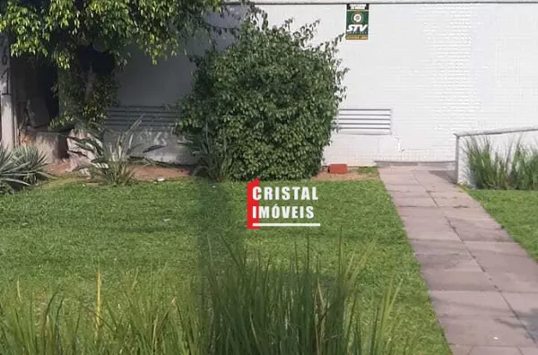 Circulacao externa