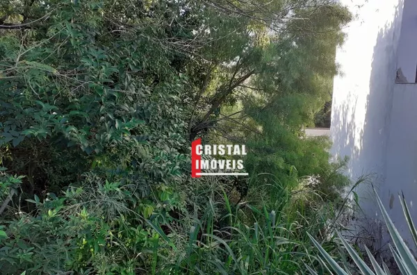 IEJP 130 Lote TE0019