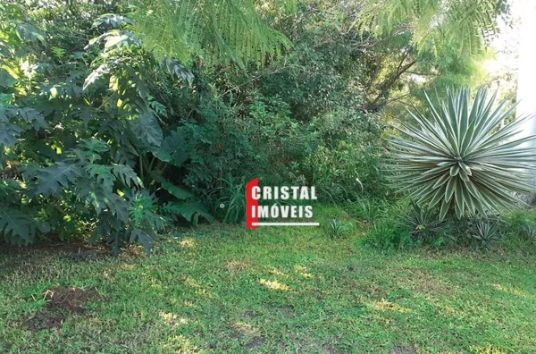 IEJP 130 Lote TE0019