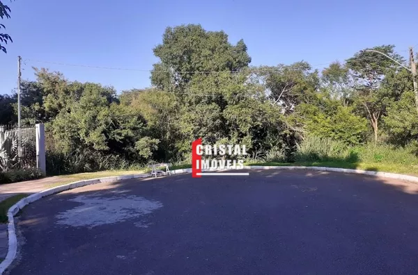 IEJP 130 Lote TE0019