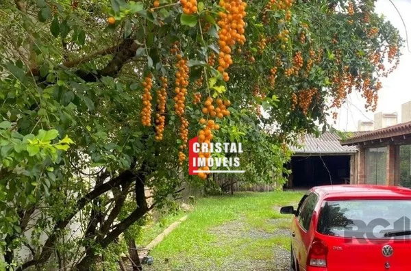 ADMDCM 646 Lote LU445393