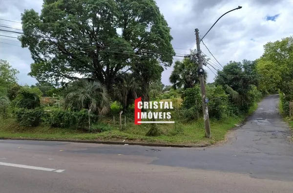 ADMDTM 1354 Lote 612481080-23