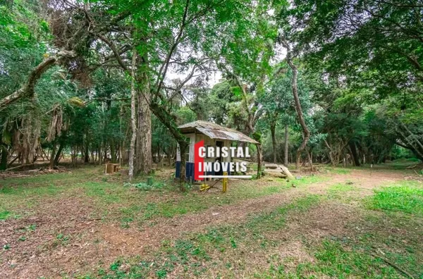 Terreno para aluguel,  Pedra Redonda, Porto Alegre