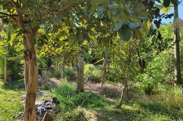 Terreno para venda Condomínio Fazenda Orypaba - Monte Alegre do Sul