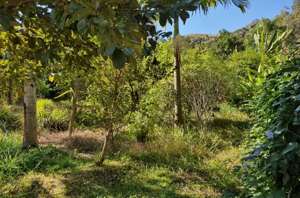 Terreno para venda Condomínio Fazenda Orypaba - Monte Alegre do Sul