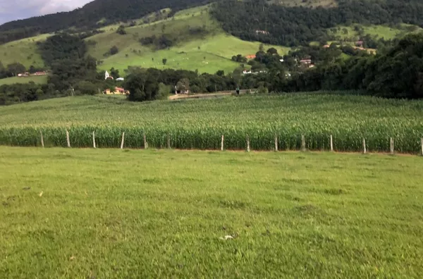 Sítio para venda no Bairro do Oratório em Socorro/SP