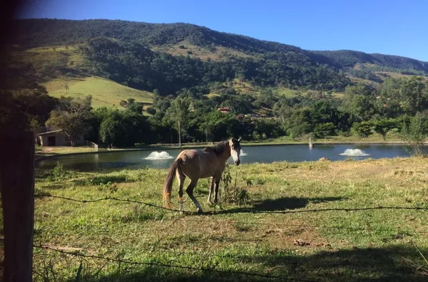 Sítio para venda no Bairro do Oratório em Socorro/SP