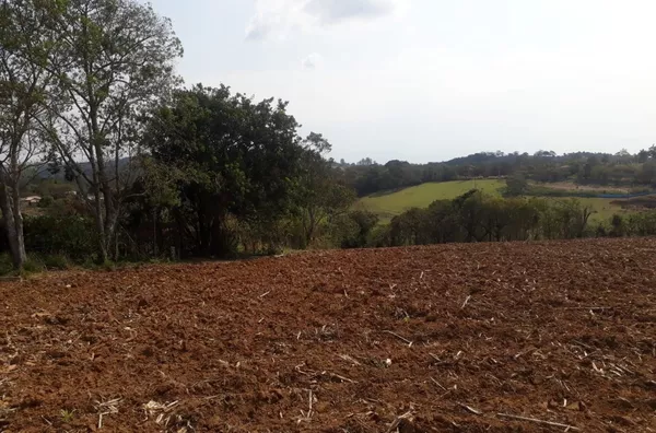 Sítio 31.000m² no bairro Sertãozinho- Beira de asfalto! 