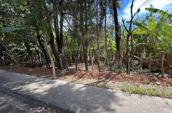 Terreno de chácara para ,  Parque Flamboyant, Amparo - Foto 15