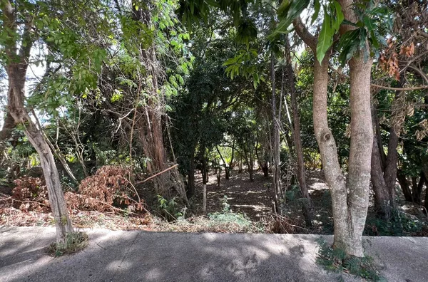 Terreno de chácara para ,  Parque Flamboyant, Amparo - Foto 14