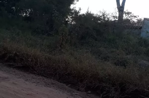 Terreno para venda no Sítio Barão da Mota Paes - Amparo/SP