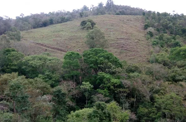 Sítio para venda - Monte Alegre do Sul