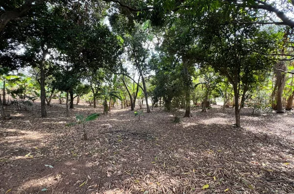 Excelente terreno de chácara para venda no Parque Flamboyant, Amparo-SP!