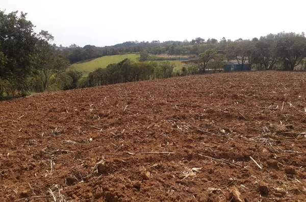 Sítio 31.000m² no bairro Sertãozinho- Beira de asfalto! 