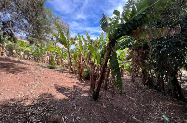 Excelente terreno de chácara para venda no Parque Flamboyant, Amparo-SP!