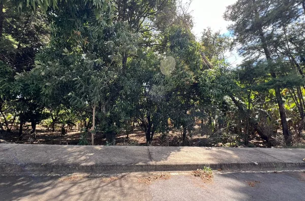 Terreno de chácara para ,  Parque Flamboyant, Amparo - Foto 13