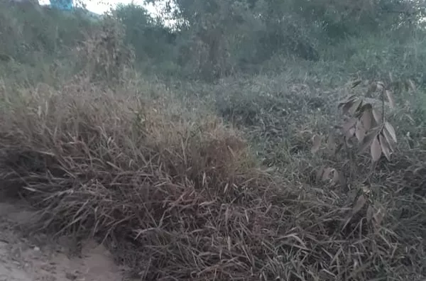 Terreno para venda no Sítio Barão da Mota Paes - Amparo/SP