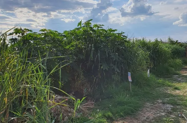 Terreno para venda - Bairro Jardim Estância Suiça- Serra Negra