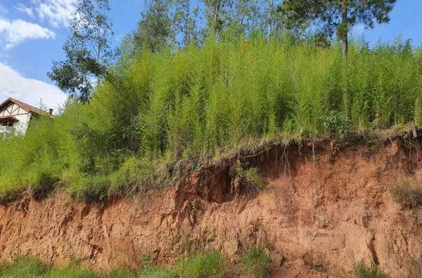 Terreno para venda - Bairro Jardim Estância Suiça- Serra Negra