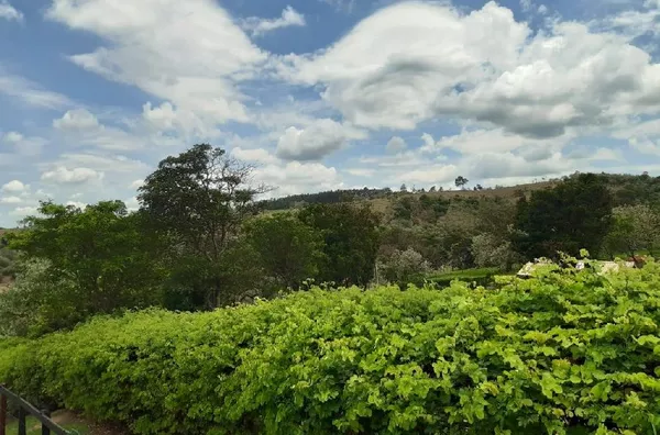 Mini Haras próximo a futura represa de Pedreira-SP! 