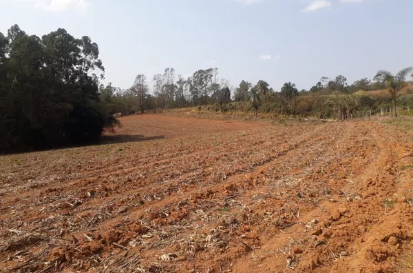 Sítio 31.000m² no bairro Sertãozinho- Beira de asfalto! 