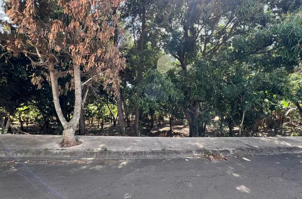 Terreno de chácara para ,  Parque Flamboyant, Amparo