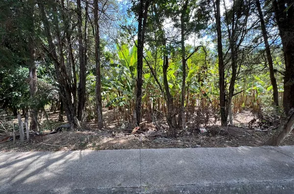 Terreno de chácara para ,  Parque Flamboyant, Amparo - Foto 16