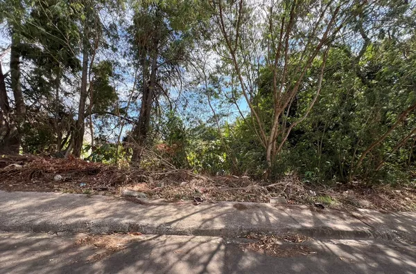 Excelente terreno de chácara para venda no Parque Flamboyant, Amparo-SP! - Foto 12