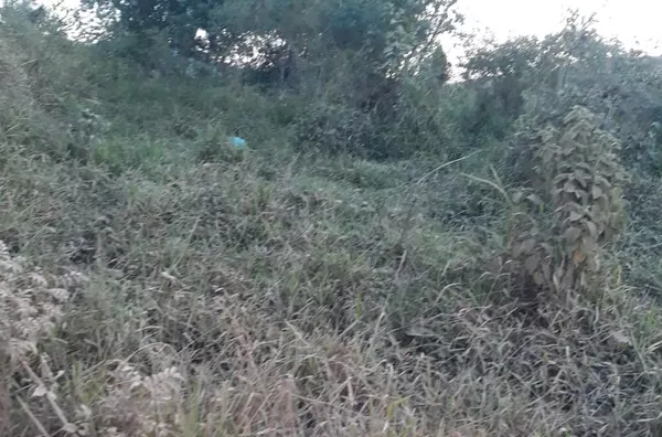 Terreno para venda no Sítio Barão da Mota Paes - Amparo/SP