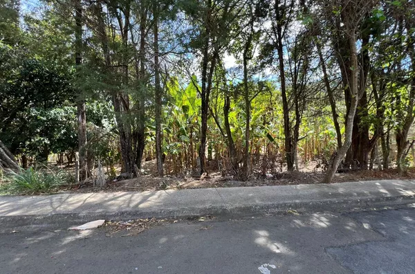 Terreno de chácara para ,  Parque Flamboyant, Amparo - Foto 12