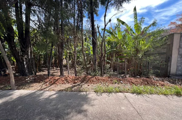 Terreno de chácara para ,  Parque Flamboyant, Amparo