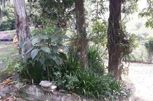 Chácara para venda 2 casas Condomínio Residencial Monte Castelo Amparo/SP