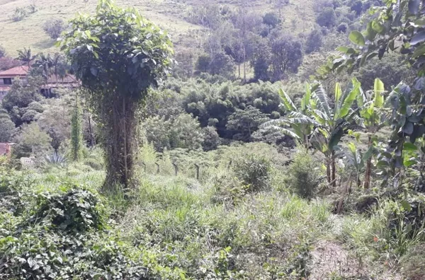 Chácara para venda 2 casas Condomínio Residencial Monte Castelo Amparo/SP
