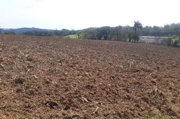 Sítio 31.000m² no bairro Sertãozinho- Beira de asfalto! 