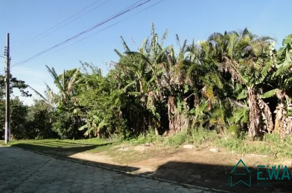 Melhor vista da Ponta de Baixo