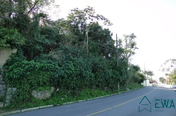 Melhor vista da Ponta de Baixo