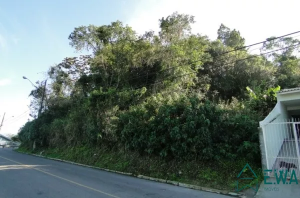 Melhor vista da Ponta de Baixo