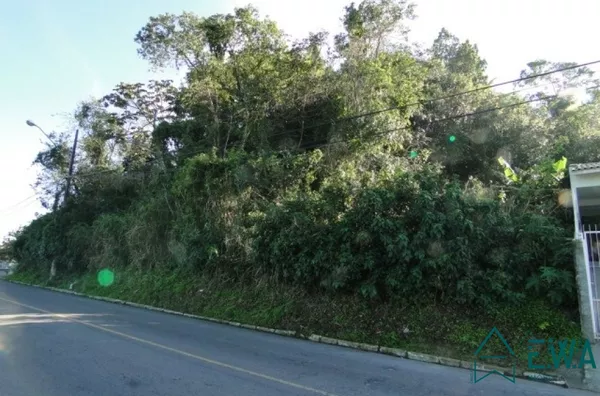 Melhor vista da Ponta de Baixo - Foto 7