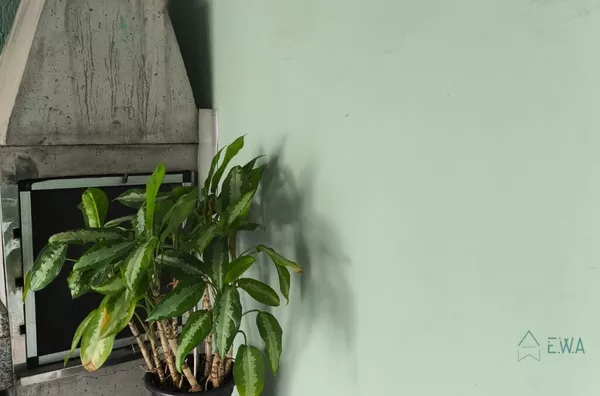 Casa para venda,  Serraria, São José