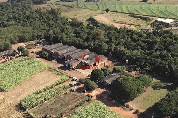 Chácara para venda em Cianorte