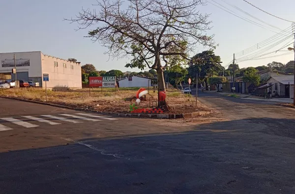 Terreno para aluguel, Paranavaí