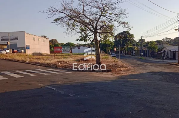 Terreno para aluguel, Paranavaí