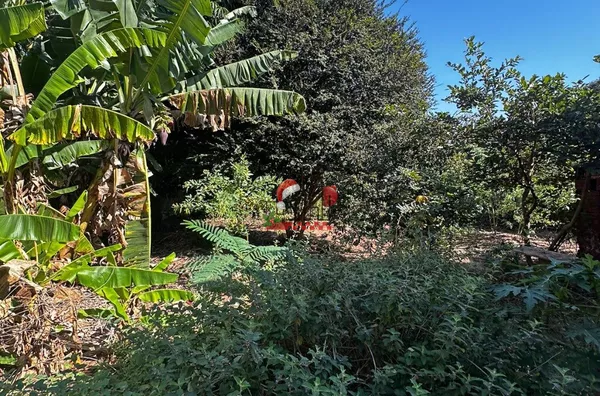 Casa para venda, Paranavaí