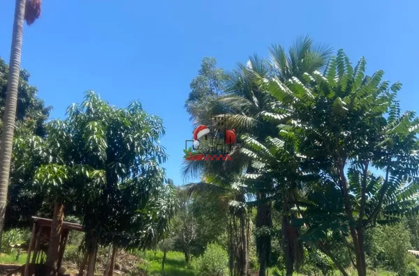 Chácara para venda, Alto Parana