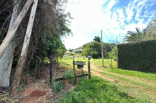 Chácara para venda em Paranavaí! - Foto 2