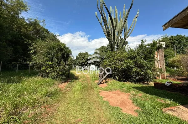 Chácara para venda em Paranavaí! - Foto 3